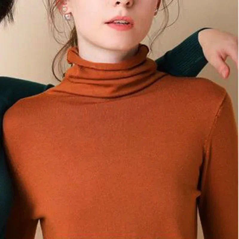 Autumn Winter Sweater Turtleneck Slim Fit